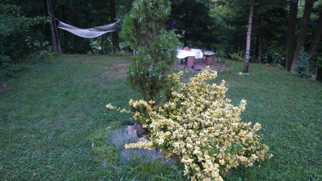 Tammaris Holiday Home Visoko Zewnętrze zdjęcie