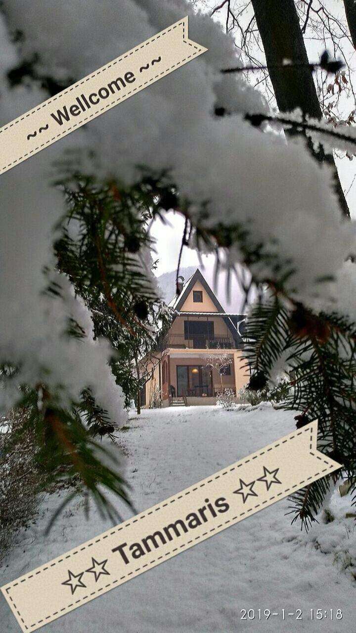 Tammaris Holiday Home Visoko Zewnętrze zdjęcie