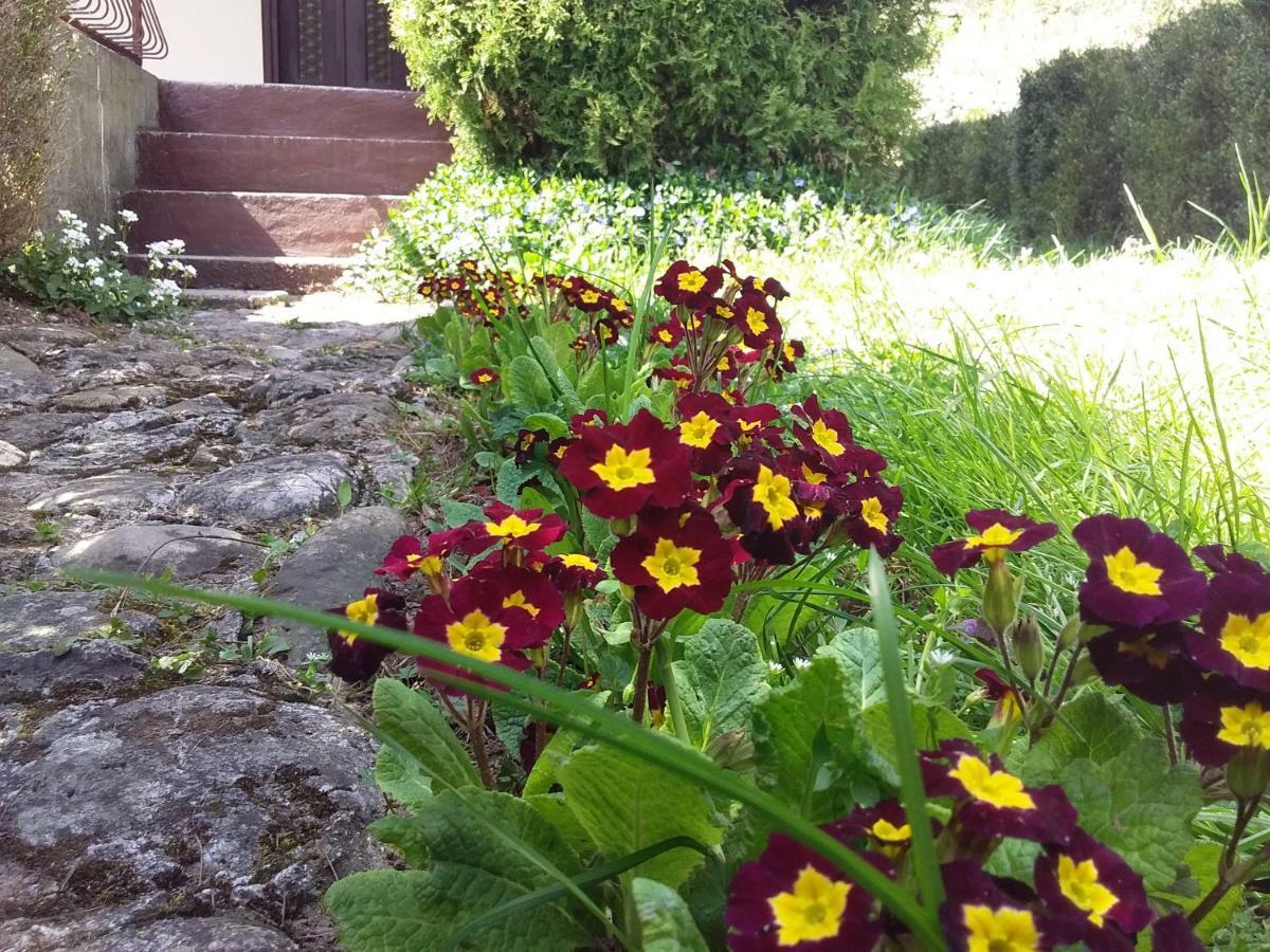 Tammaris Holiday Home Visoko Zewnętrze zdjęcie